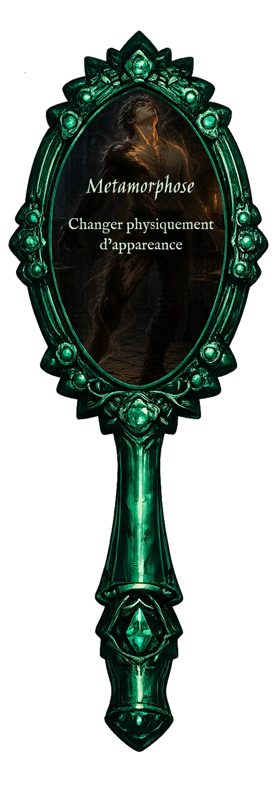 Miroir face